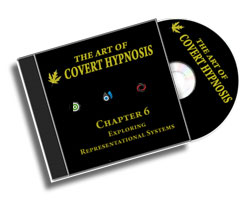 The Art Of Covert Hypnosis CD6